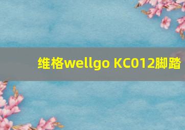 维格wellgo KC012脚踏